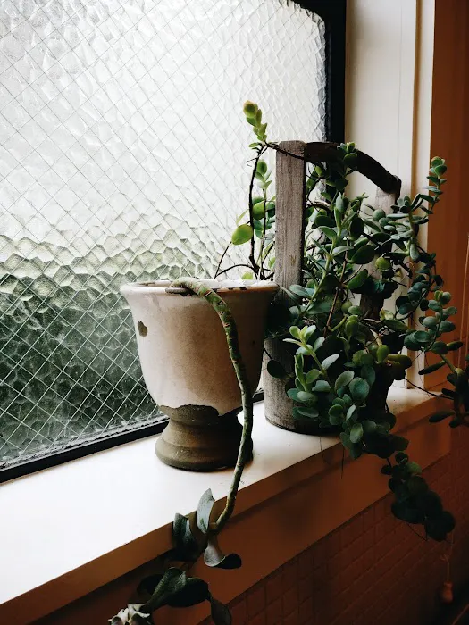 Lidia's Skin Care Studio Picture 1