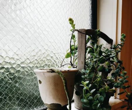 Lidia's Skin Care Studio