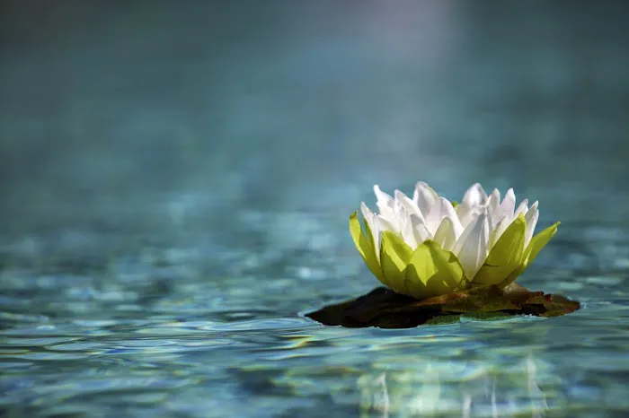 Pristine Clinical Skin Care Picture 4