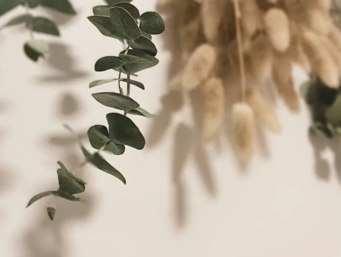 Holistic Skin Remedy Picture 1