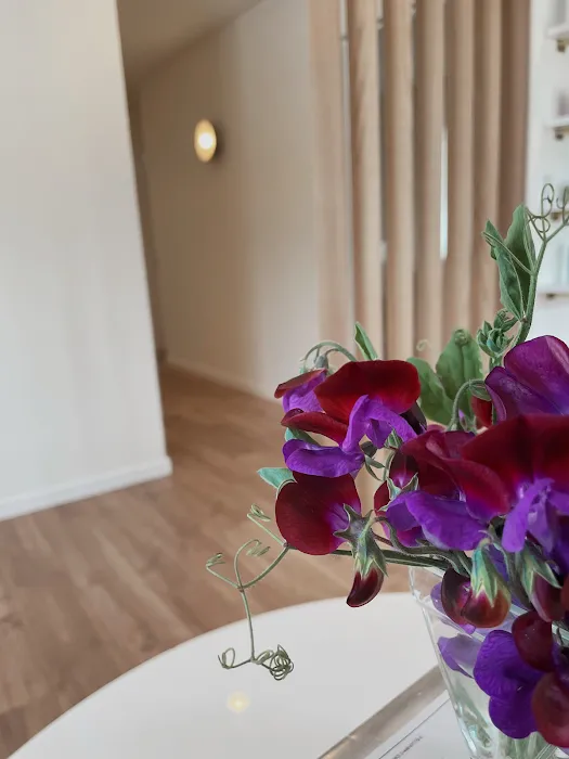 Holistic Skin Remedy Picture 2