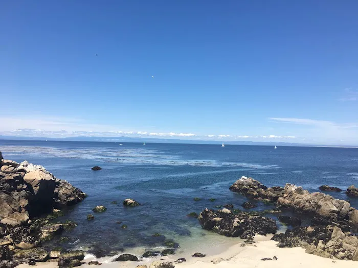 Santé Skin- A Lifestyle approach to Skin health + Wellness Picture 3