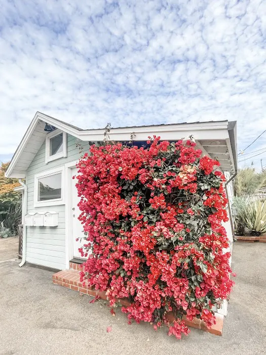 Jaclyn Etcheverry Holistic Skincare Picture 1