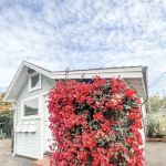 Jaclyn Etcheverry Holistic Skincare