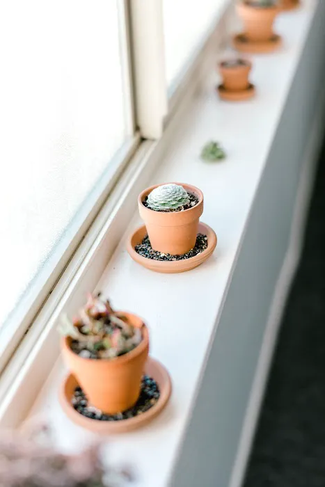 Skincare by Justina Tess Picture 3