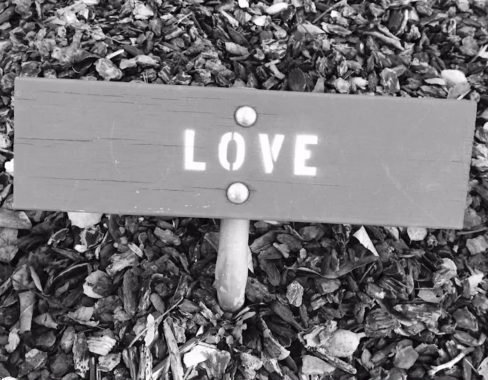 Allure Skin Studio Picture 6