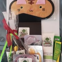 Wholesome Skincare And Body ico