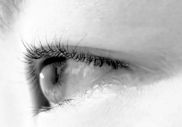 Beauty By Youngmee Picture 8