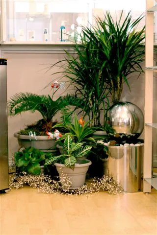 Body Resultz Skin Care Picture 4