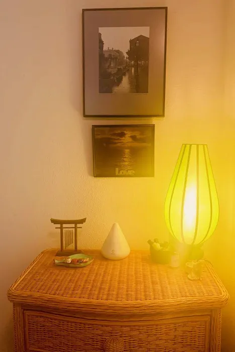 Jodi Skin Wax Picture 3