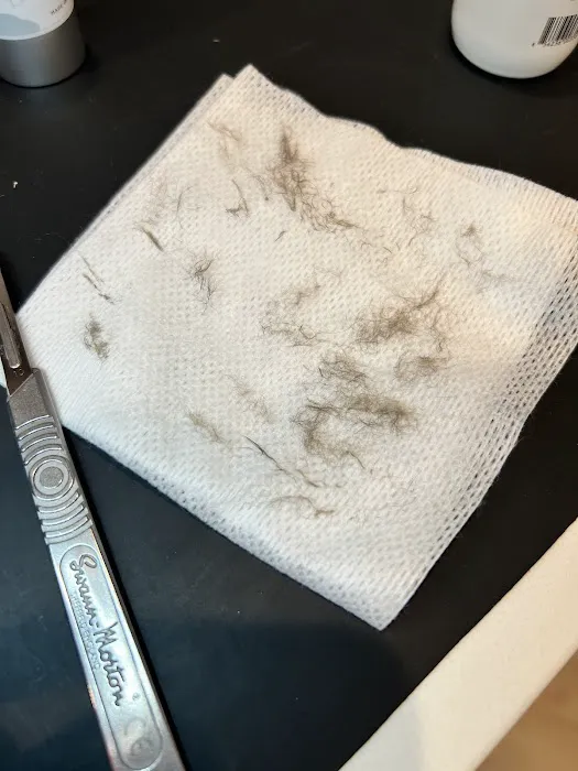 Bare Beauty Bar Picture 5