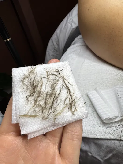 Mila Catapano Aesthetics Picture 2