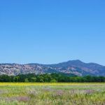 Solano Dermatology Associates - Vacaville