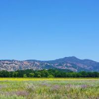 Solano Dermatology Associates - Vacaville ico