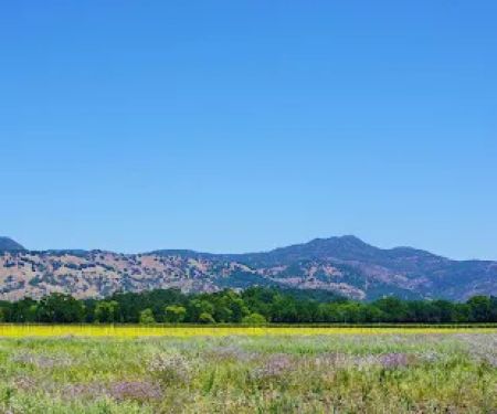 Solano Dermatology Associates - Vacaville