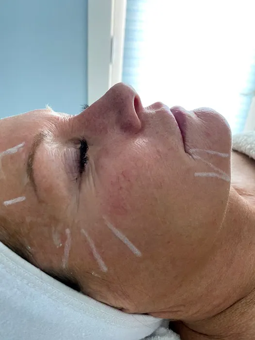 Indulge Vacaville face and body Picture 7