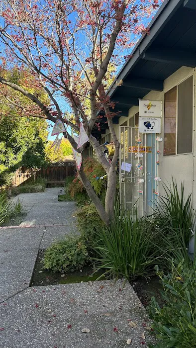 Stacey Carta Skin Care Picture 1