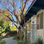 Stacey Carta Skin Care