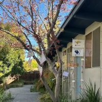 Stacey Carta Skin Care ico