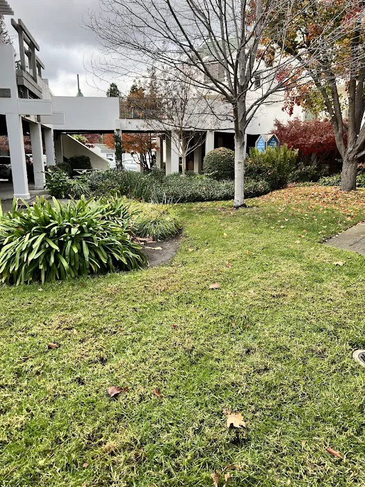 Modern Skin Therapy Picture 1