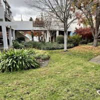 Modern Skin Therapy ico