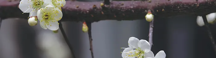 Beauty of Earth Rejuvenation Clinic Picture 8