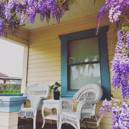 The Beauty Room Picture 3