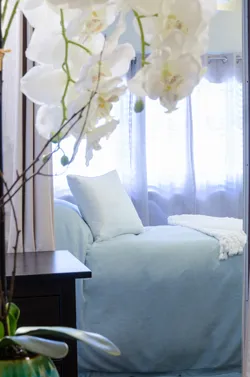 Caelie Steele Skin Care Picture 7