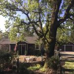 Santa Rosa Ageless Skin Care & Electrology