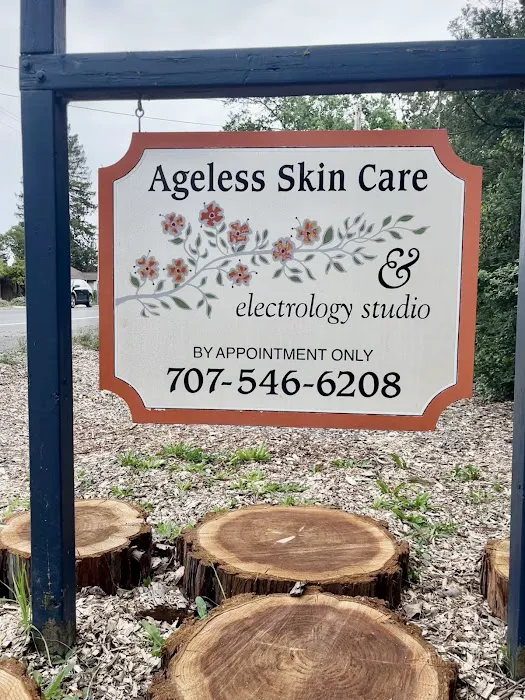 Santa Rosa Ageless Skin Care & Electrology Picture 2