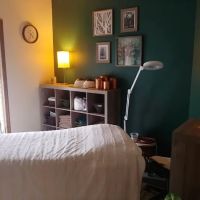 Molly's Esthetics ico