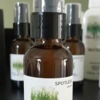 Blue Willow Skin Care ico