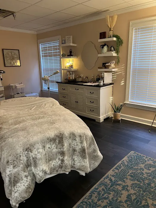 Courthouse Skin Picture 2