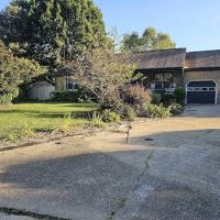 Essential esthetics, llc ico