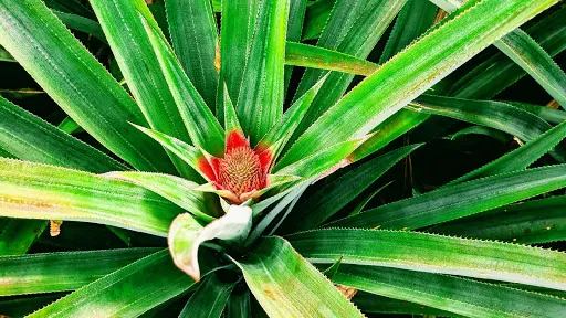 Radiance Skin LLC Picture 2