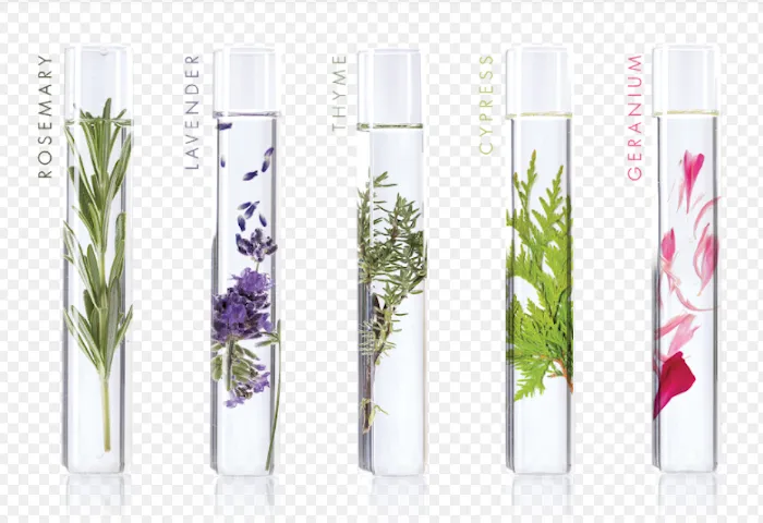 Inlet Swan Spa Picture 7