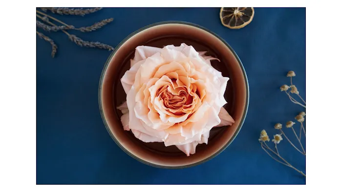 Merritt Skincare Picture 3