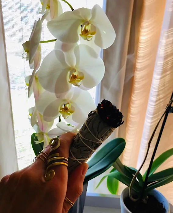 Merritt Skincare Picture 6