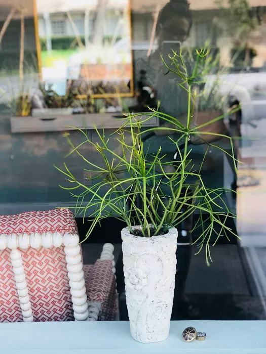 Jolie Skin Studio Picture 2