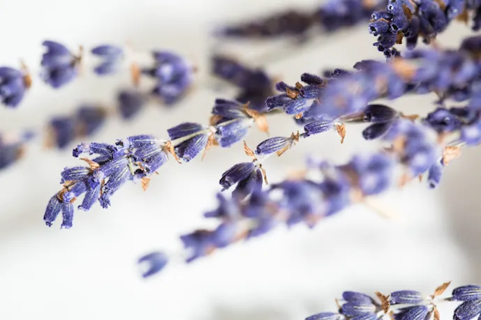 Carson Skin Rejuvenation Picture 4