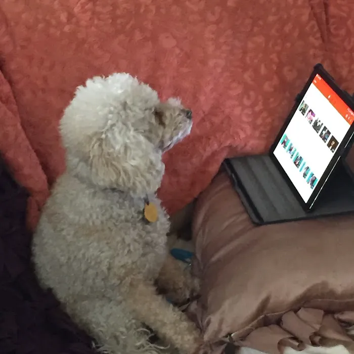 JA Skin Therapy Picture 7