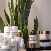 Shine Skincare Studio ico