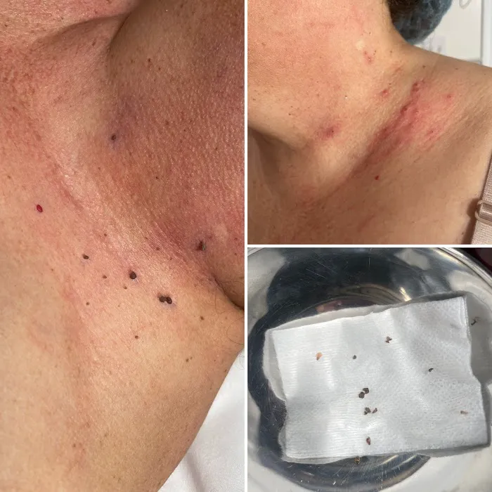 Juliana Di Tomaso Picture 5