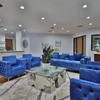 Devenir Aesthetics ico