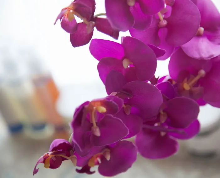 Everygirl Skincare and Acne Clinic Picture 1