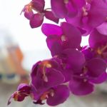 Everygirl Skincare and Acne Clinic