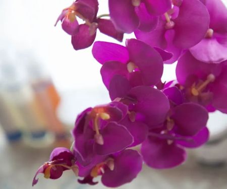 Everygirl Skincare and Acne Clinic