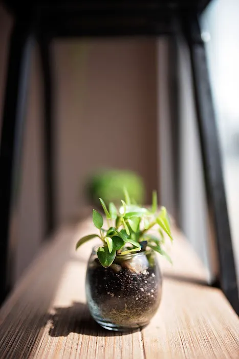 Elixir - A Skin Care Studio Picture 3