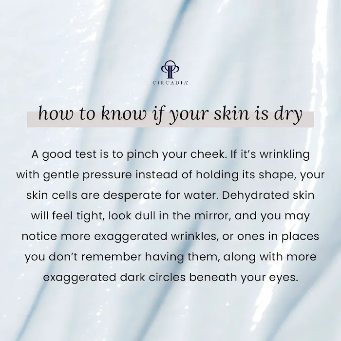 Dermabliss Skincare By Jean Anne Picture 6