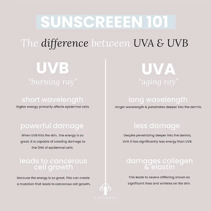 Dermabliss Skincare By Jean Anne Picture 5